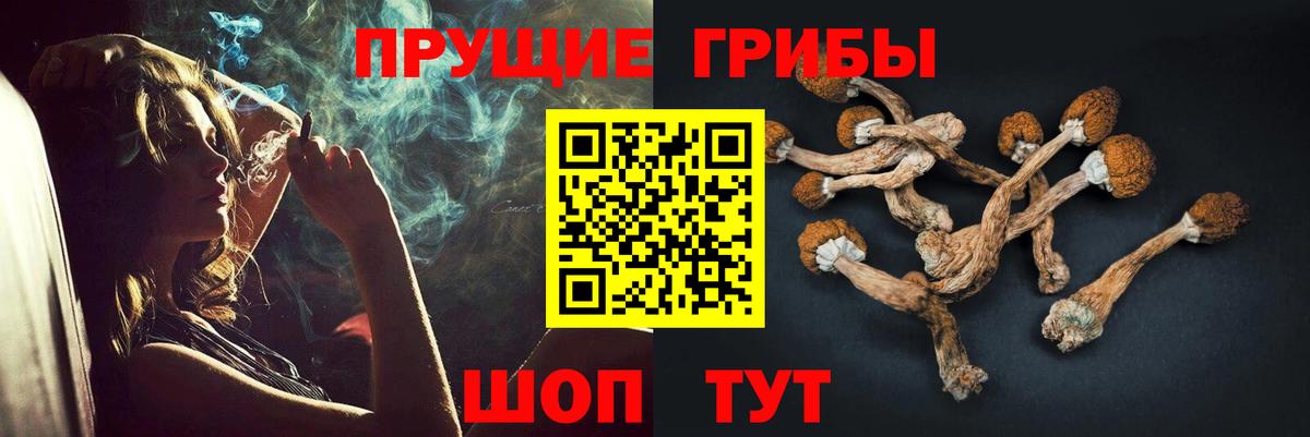 Лысьва  Псилоцибиновые грибы Cubensis  Галлюциногенные грибы Psilocybine cubensis  Вход с VPN 